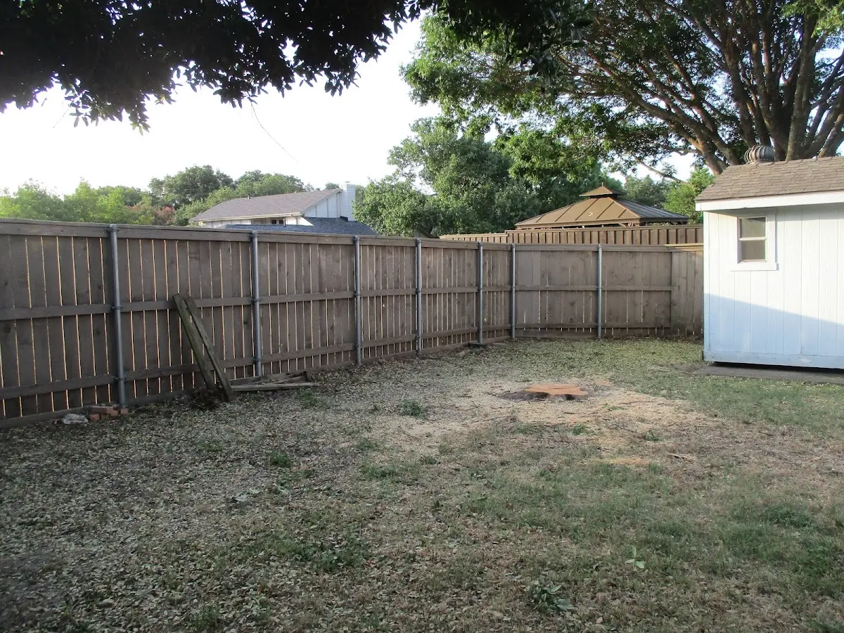 Cleared yard after professional tree removal in New Hartford