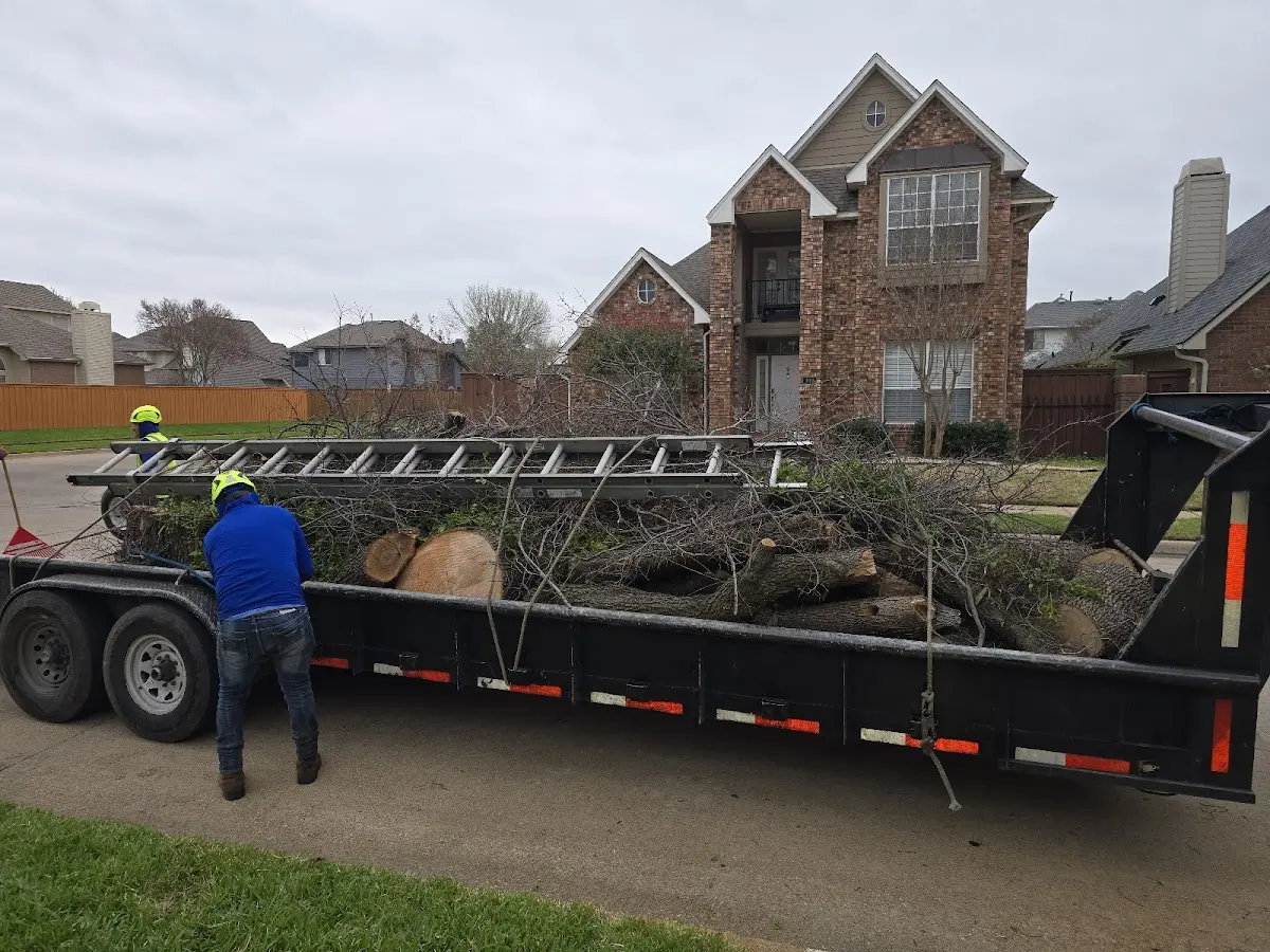 Expert Tree Pest Control with proper safety equipment in New Hartford